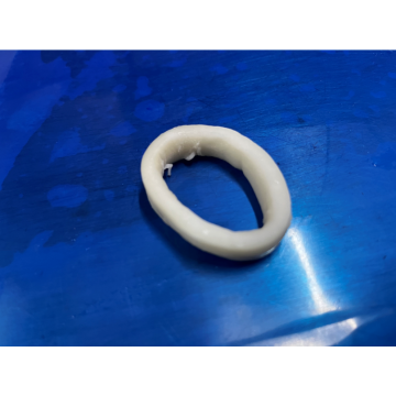 RING FROZEN RING ILLEX Argentinus IQF